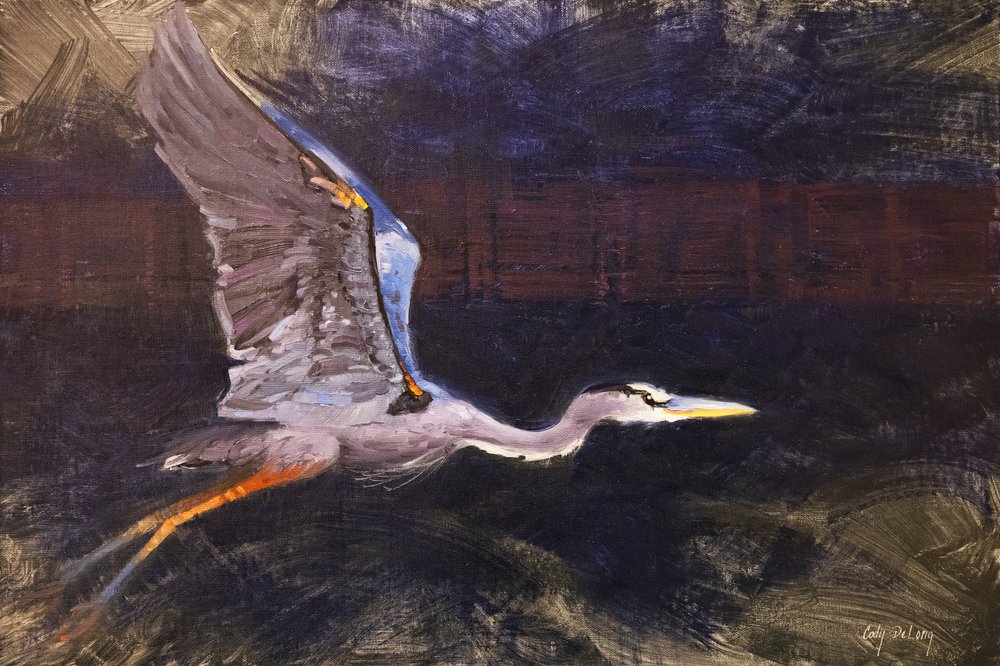 Blauer Reiher im Flug von Cody DeLong