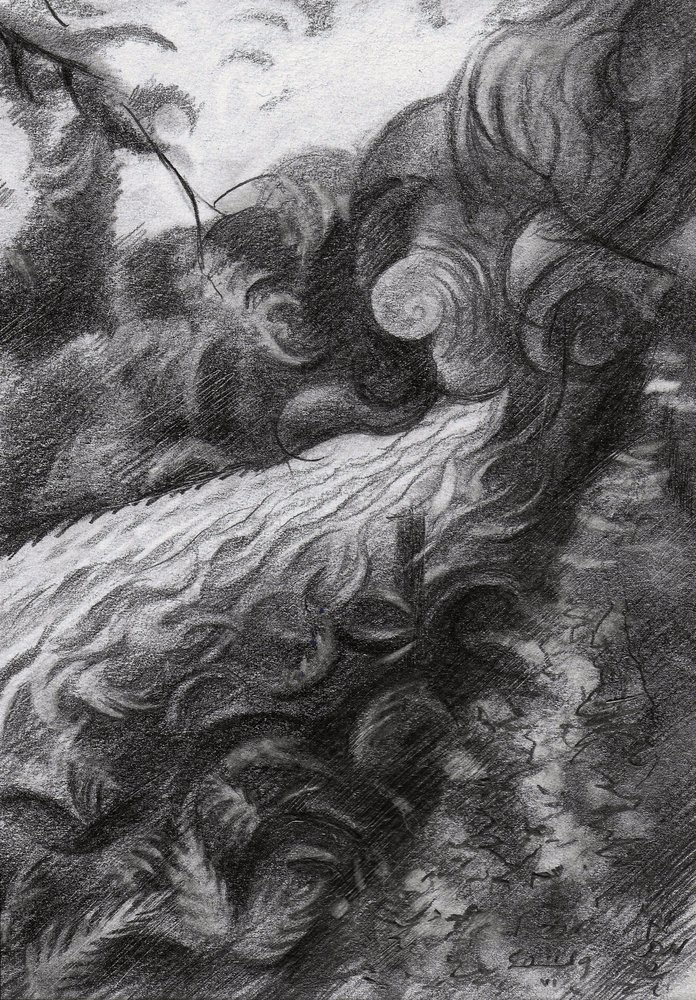 Dunkler Waldstrom von Corné Akkers