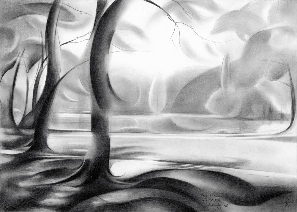 Mystische Waldreflexion von Corné Akkers