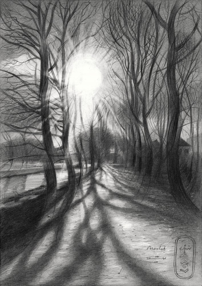 Pfad des Winterlichts von Corné Akkers