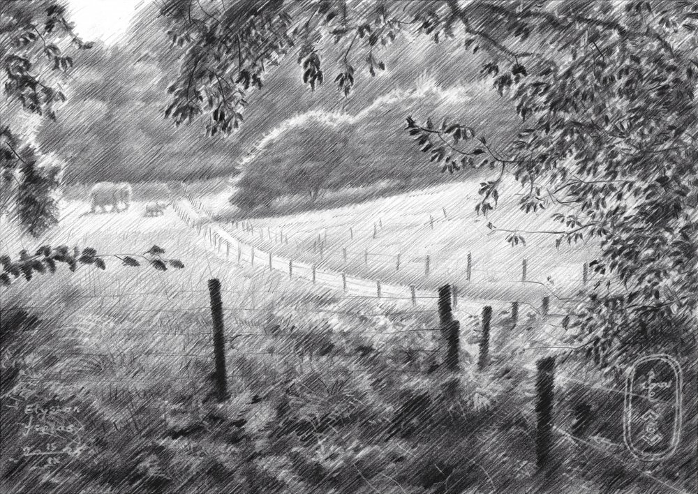 Friedlicher Landweg von Corné Akkers