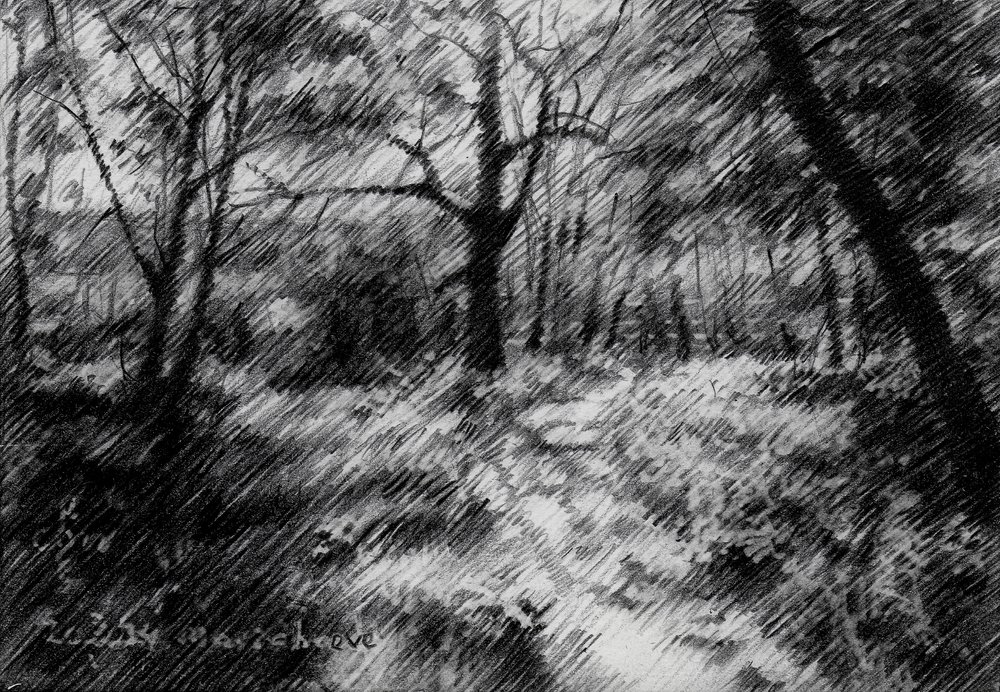 Beschatteter Waldweg von Corné Akkers