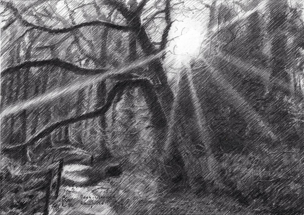 Sonniger Waldweg von Corné Akkers