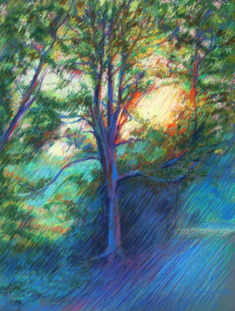 Sonniger Waldweg von Corné Akkers