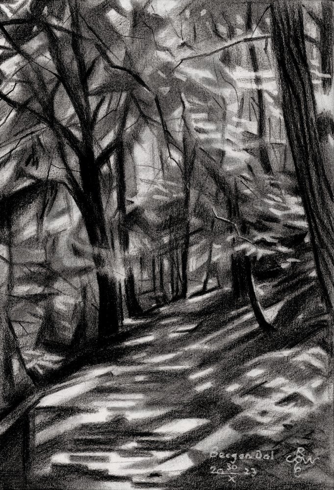 Sonniger Waldweg von Corné Akkers