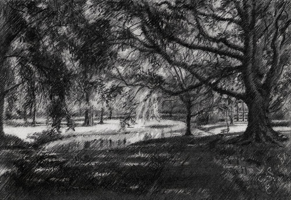 Sonniger Parkweg von Corné Akkers