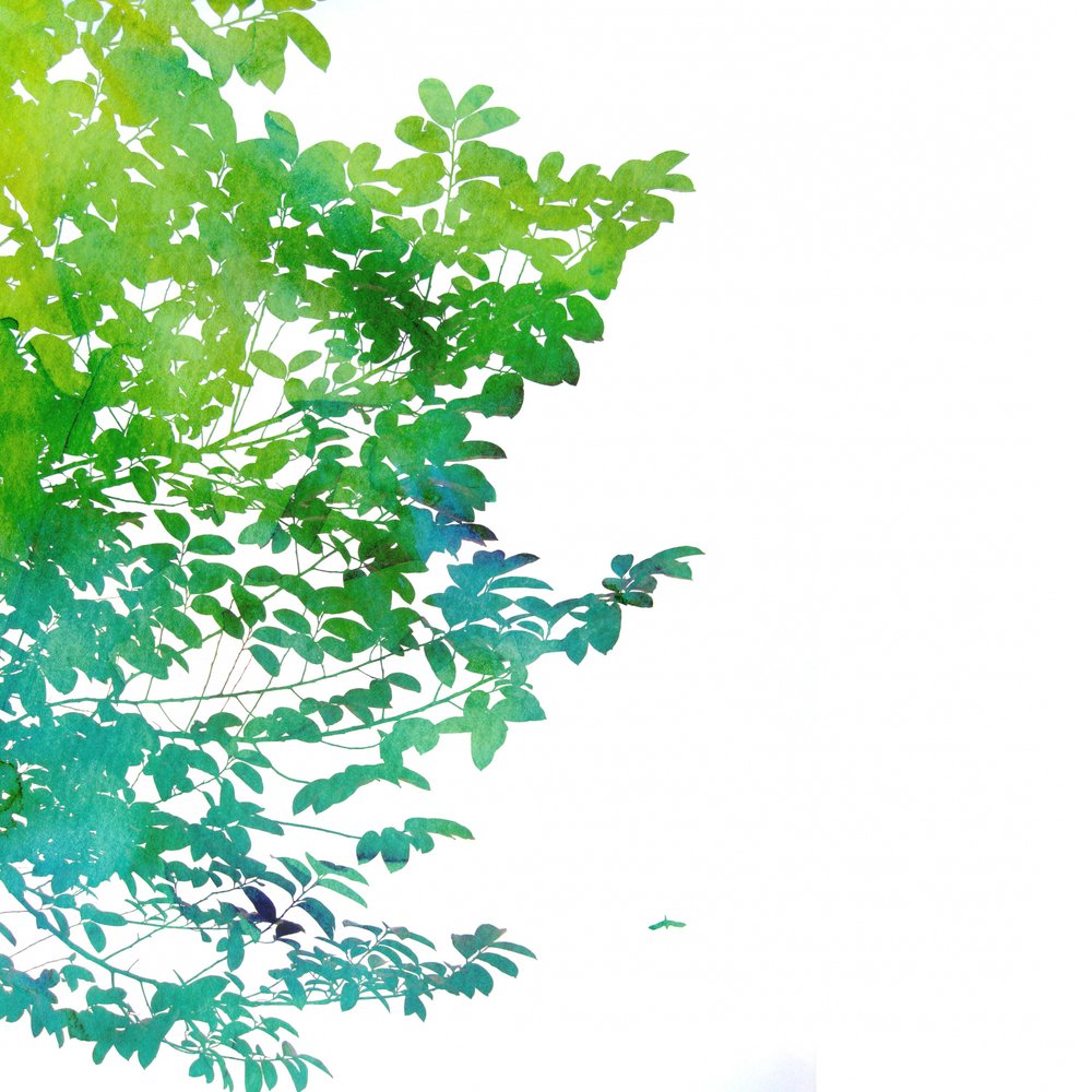 Abstrakte Aquarellblätter von Danushka Abeygoda