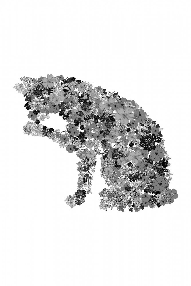Florale Katzensilhouette von Danushka Abeygoda