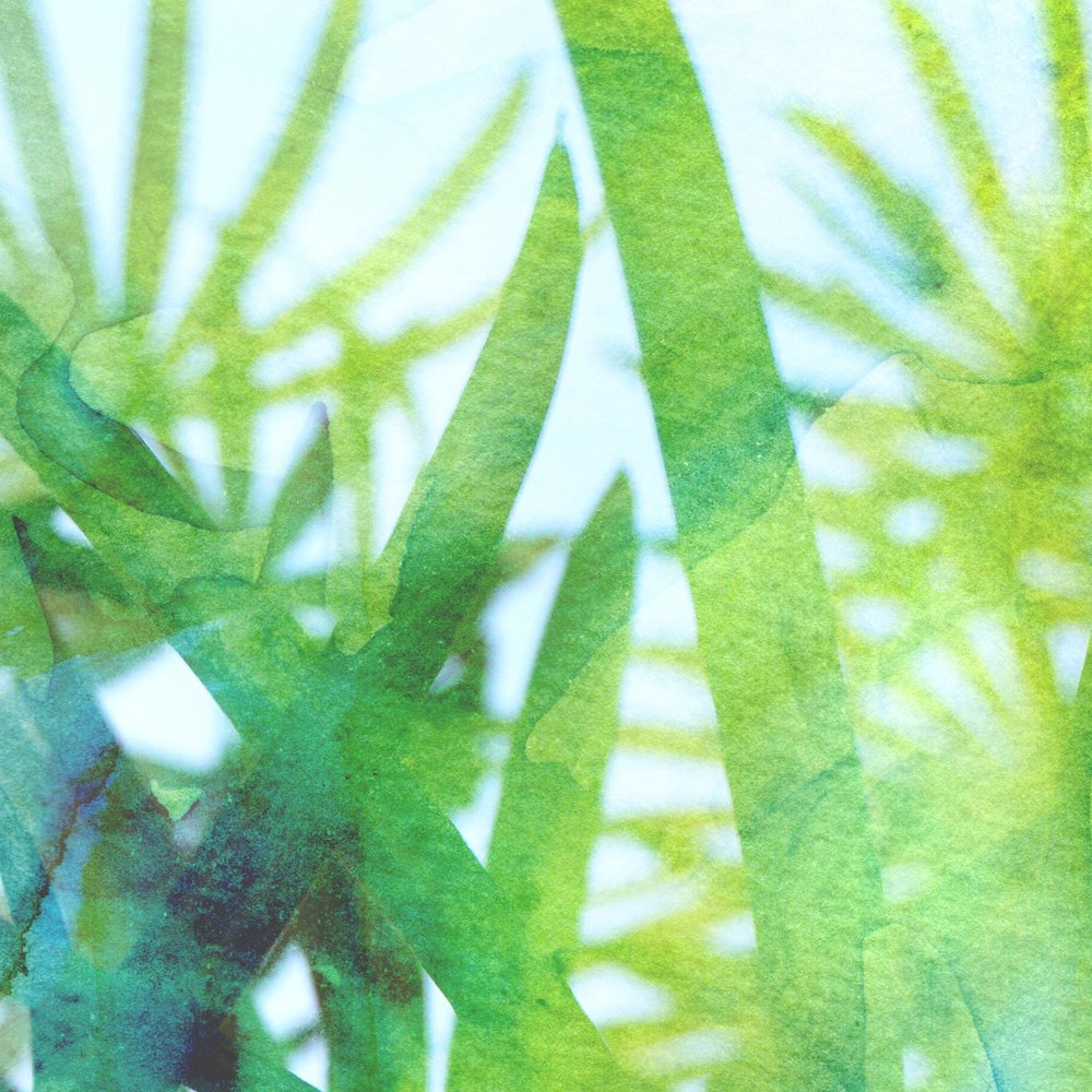 Aquarellgrünes Gras von Danushka Abeygoda