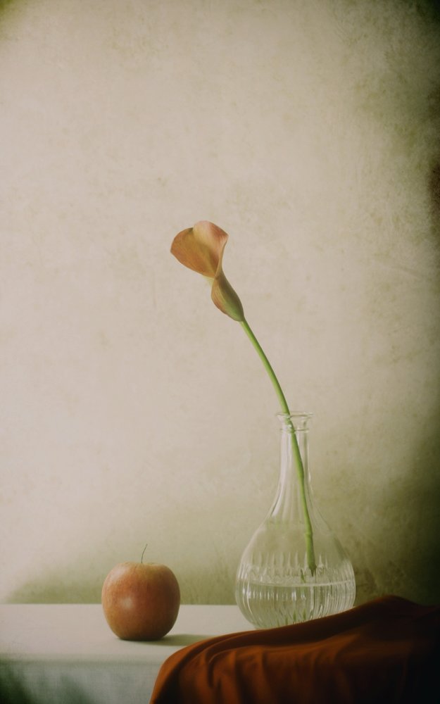 Calla-Lilie und Apfel Stillleben von Delphine Devos