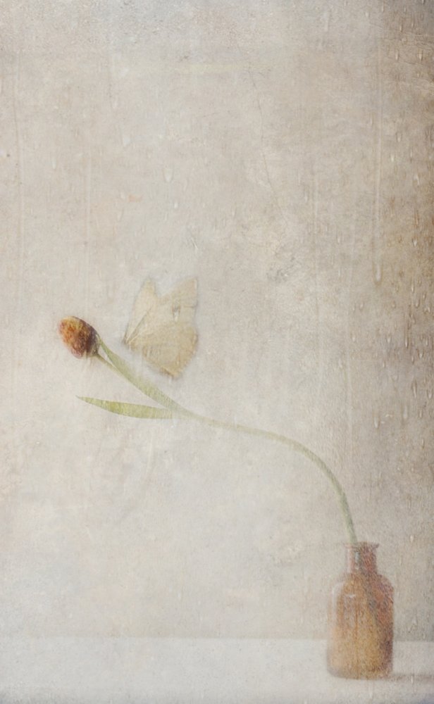 Verblassendes Tulpen-Stillleben von Delphine Devos
