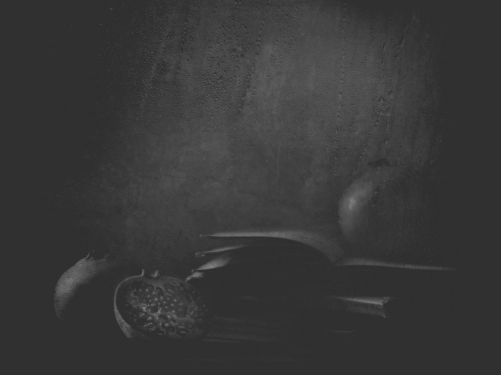 Granatäpfel im Schatten von Delphine Devos