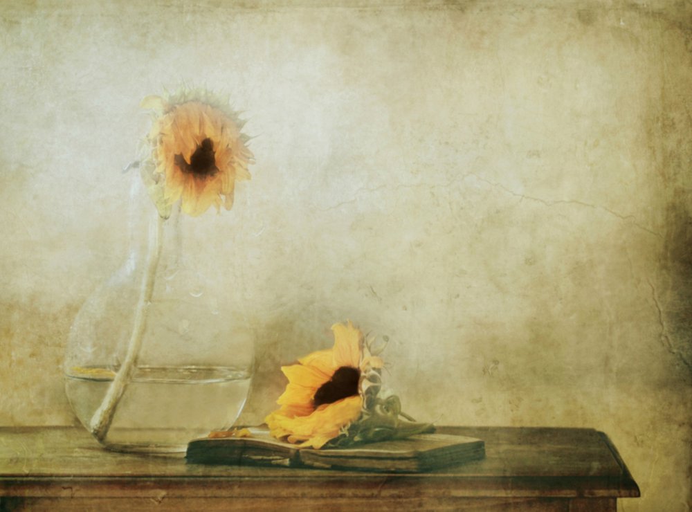Stille Herbst-Sonnenblumen von Delphine Devos