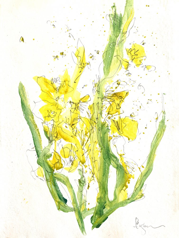 Helle gelbe Blüten von Dorothy Fagan