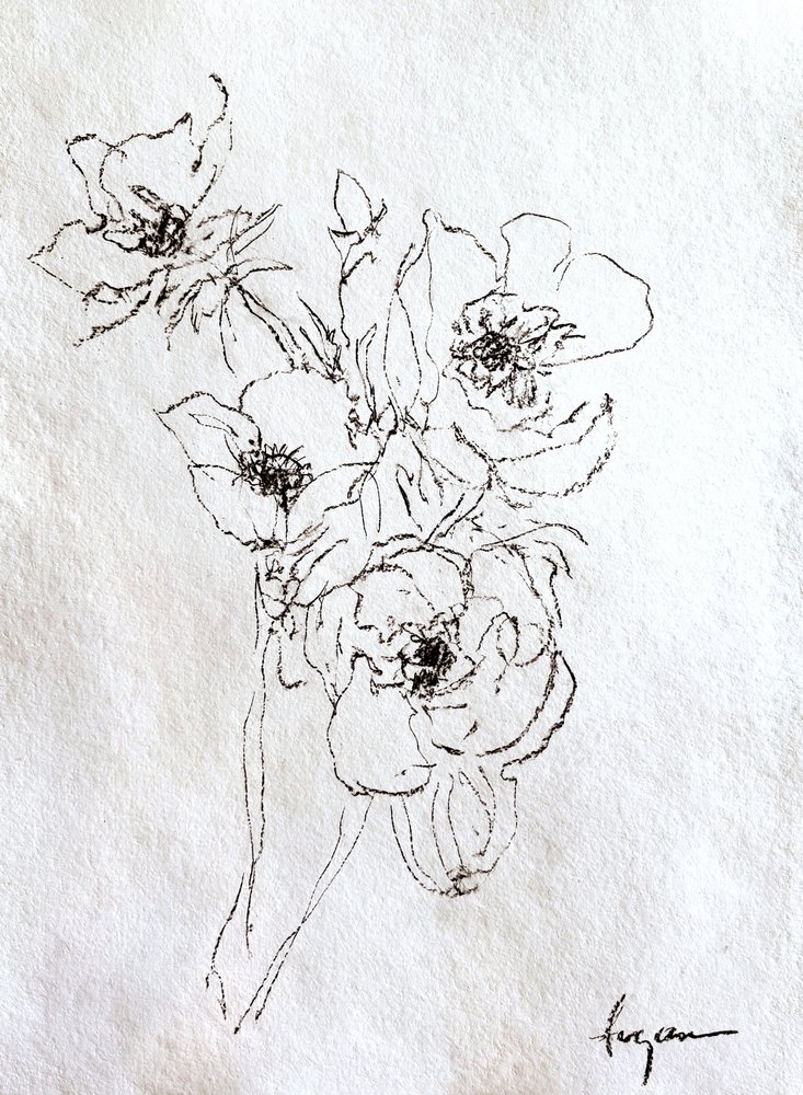 Zarte Blumenskizze von Dorothy Fagan