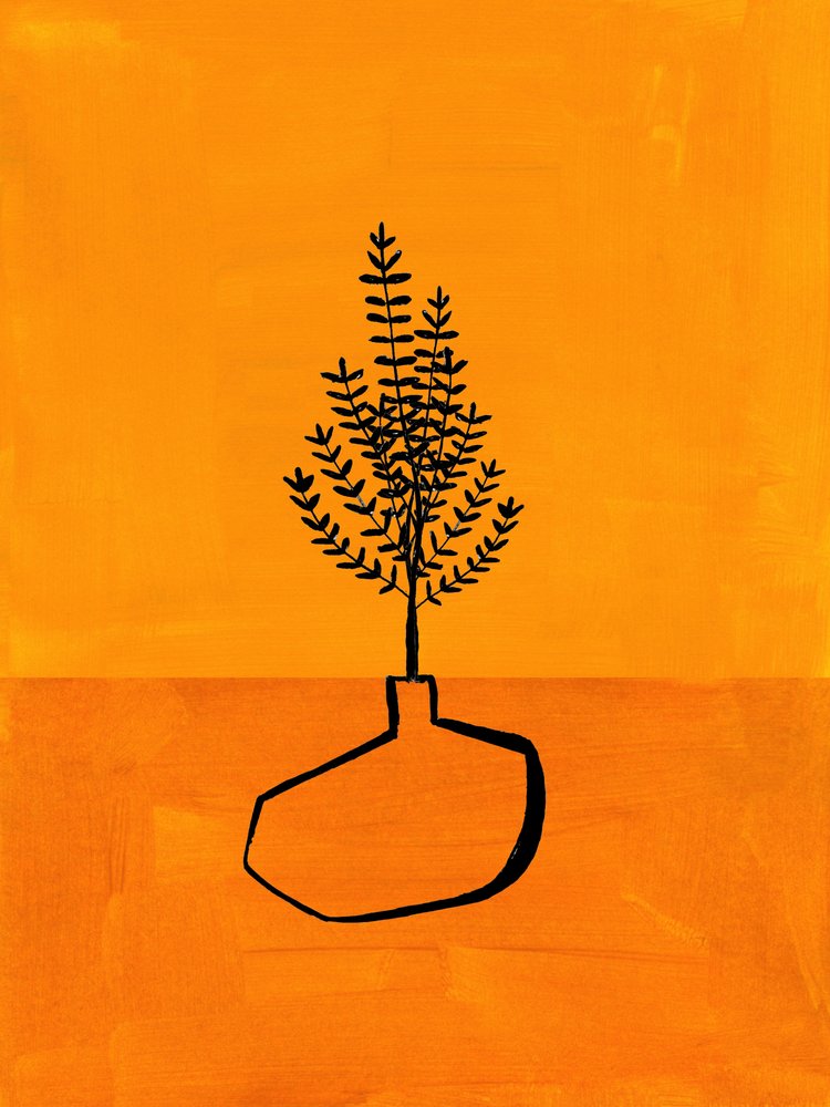 Oranger minimalistischer Pflanze von Ejaaz Haniff