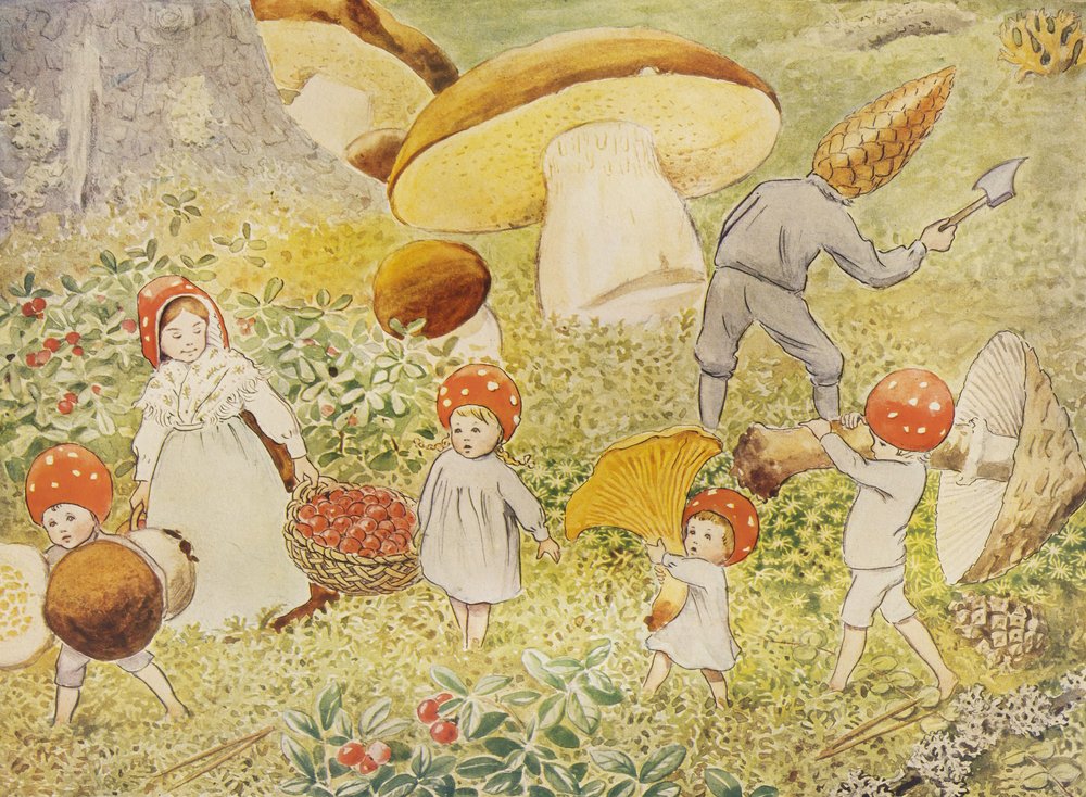 Tomtebobarnen Pilzkinder von Elsa Beskow