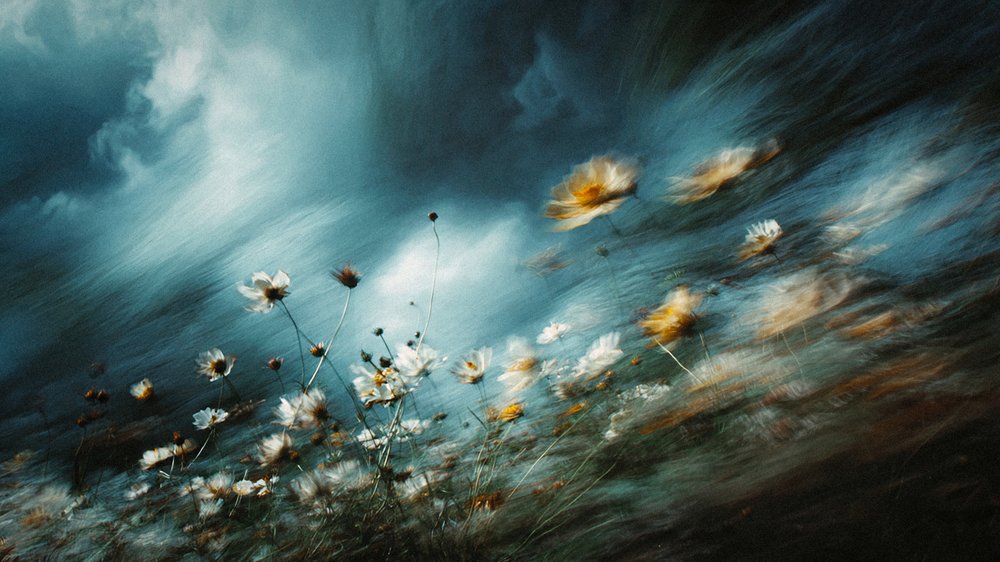 Stürmische Wildblumen von Erkan Camlilar
