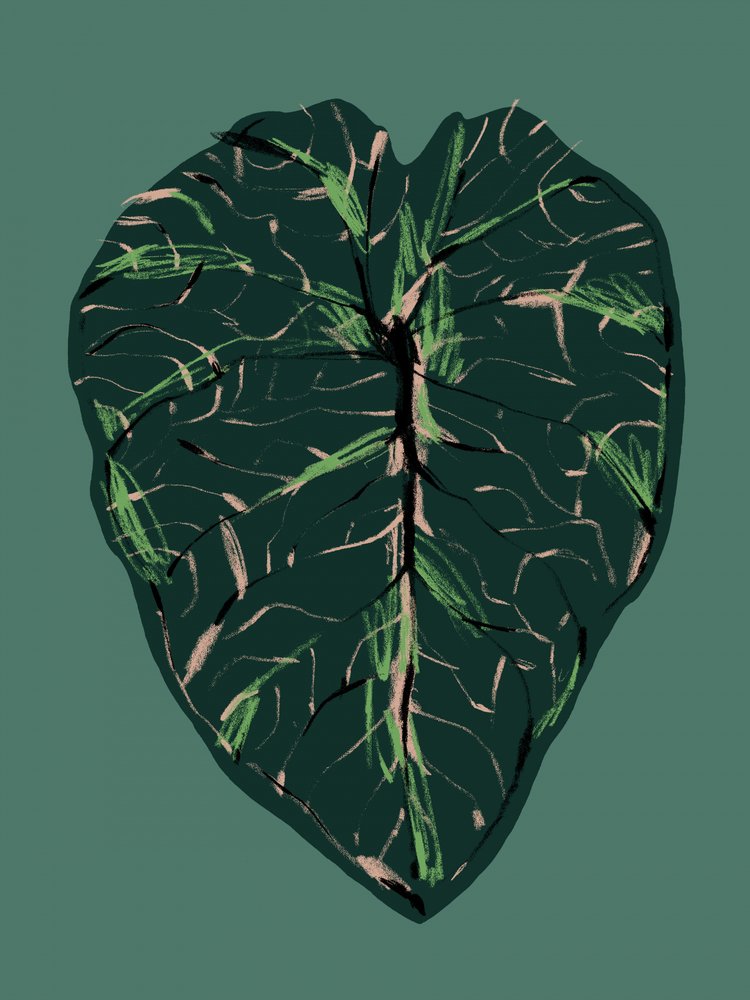 Tiefgrüne Botanica von Francesco Gulina