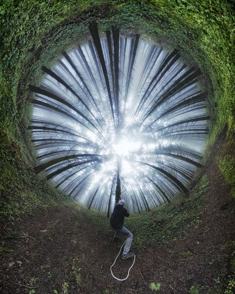 Spiralförmiger Waldweg von Francois Casanova