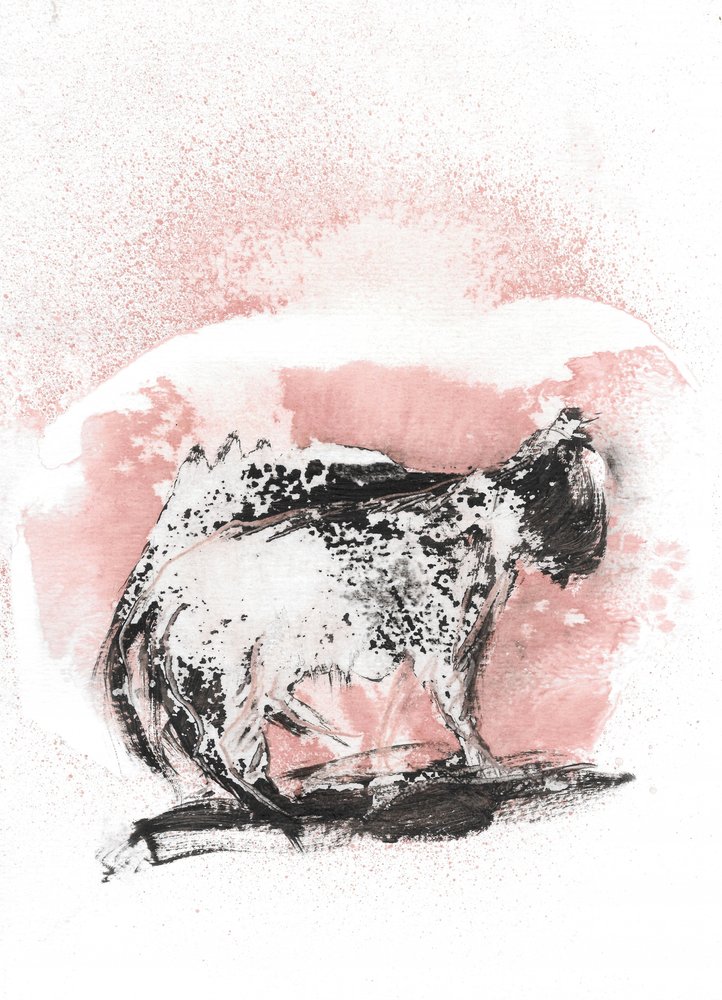 Dynamische Katzenskizze von Frederic Belaubre