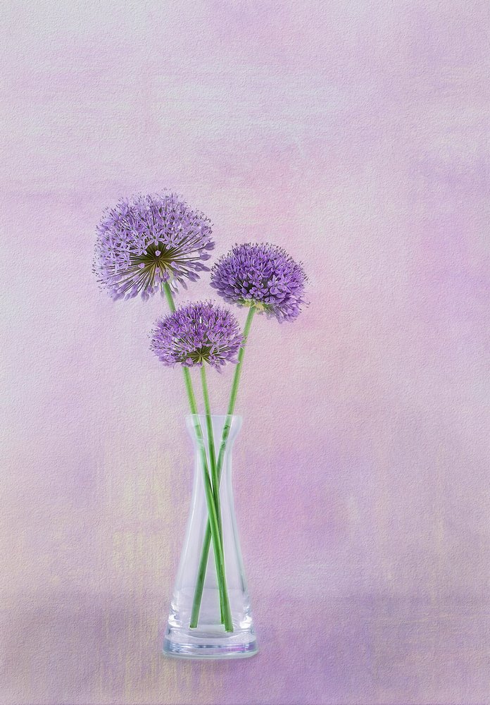 Lila Allium-Vasenblüten von Gaille Gray