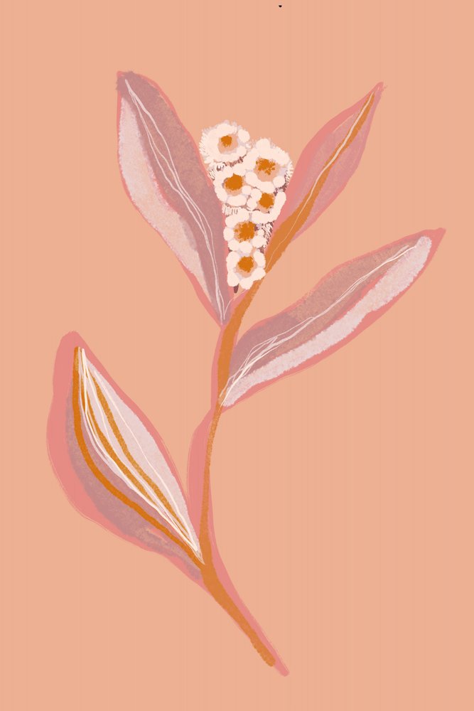 Pfirsichblüte von Gemma Bardot