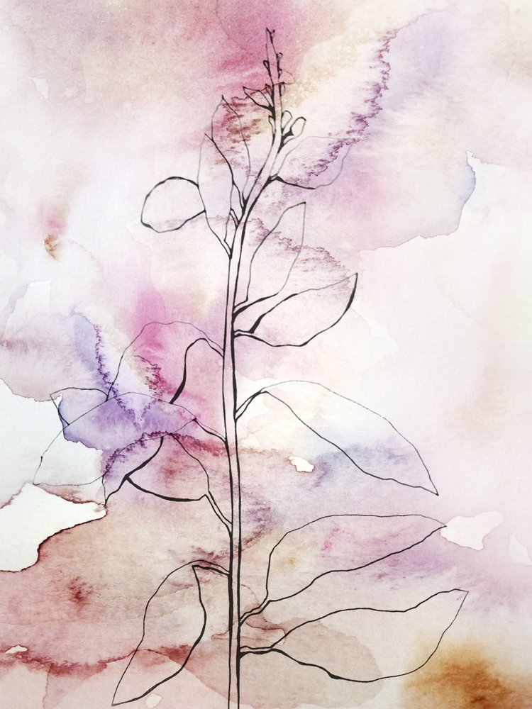 Rosa Aquarell-Botanisch von Gemma Bardot
