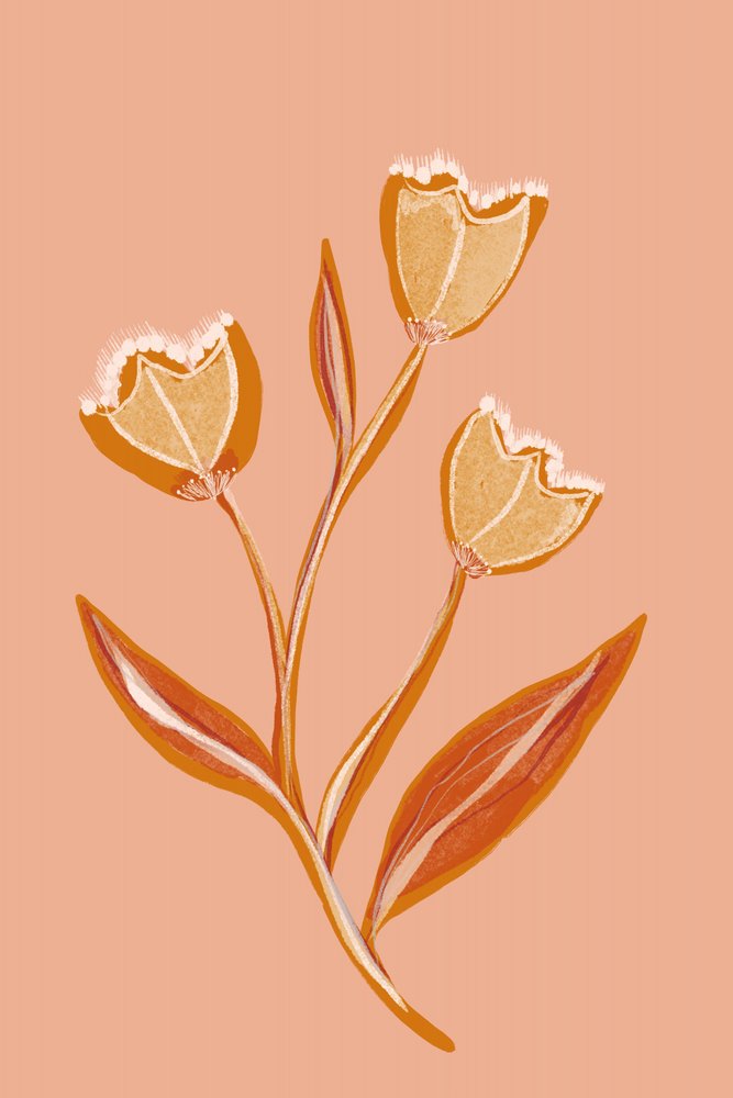 Sanfte Pfirsichblumen von Gemma Bardot