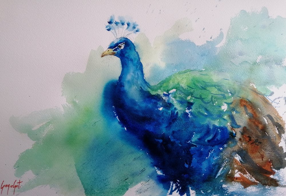 Eleganter Blauer Pfau von Giorgio Gosti