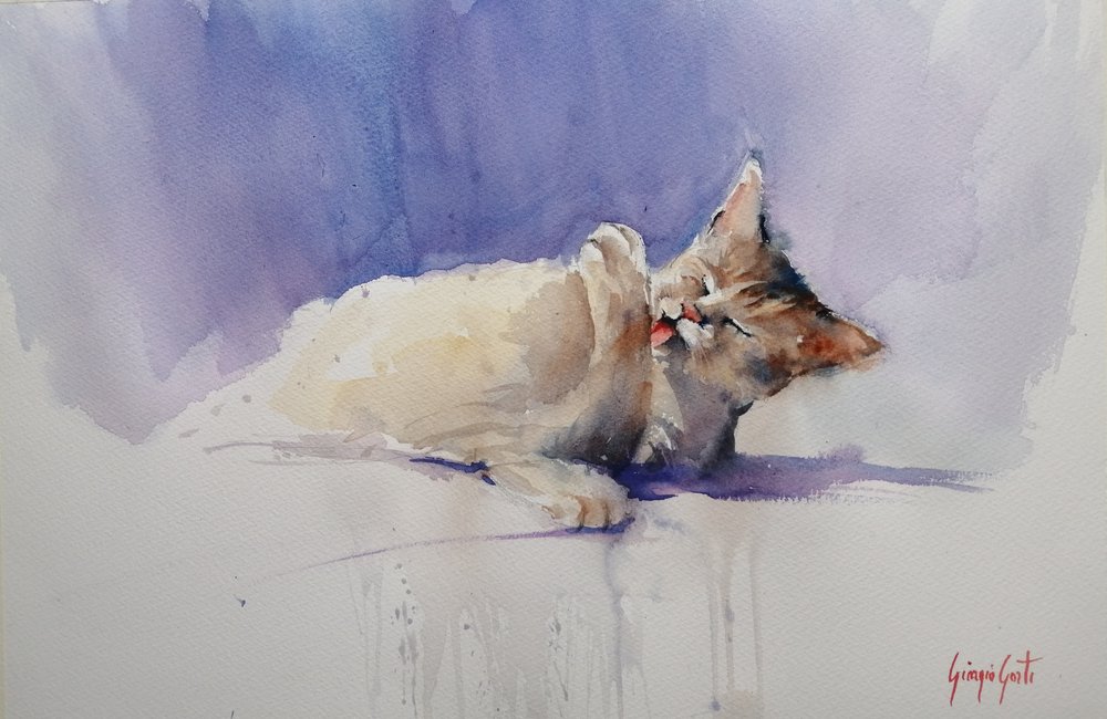 Süße Katze leckt von Giorgio Gosti