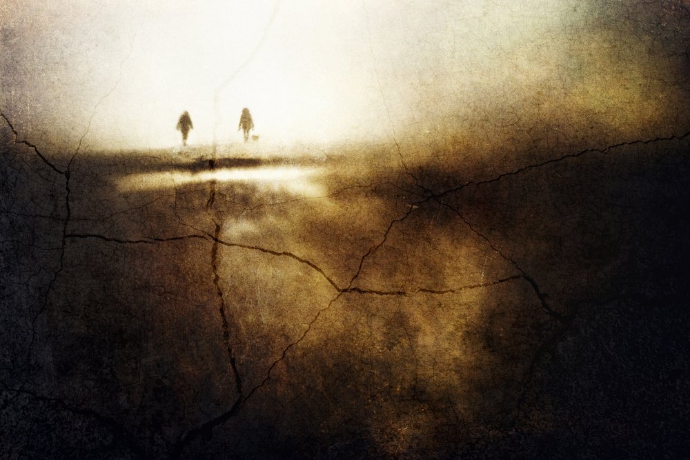 Reise ins Licht von Gustav Davidsson