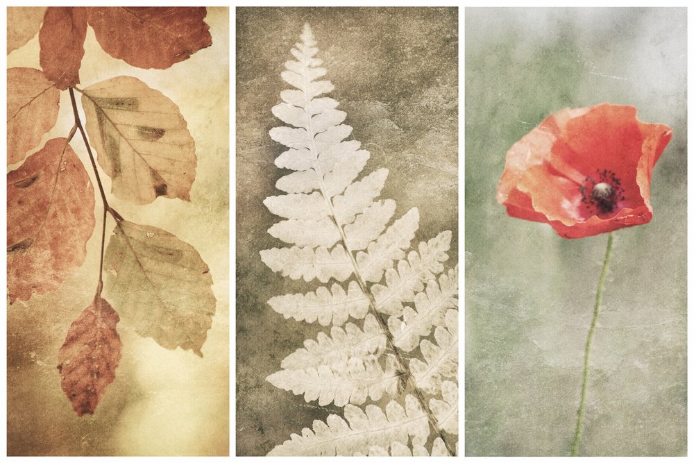 Vintage Natur Trio von Gustav Davidsson
