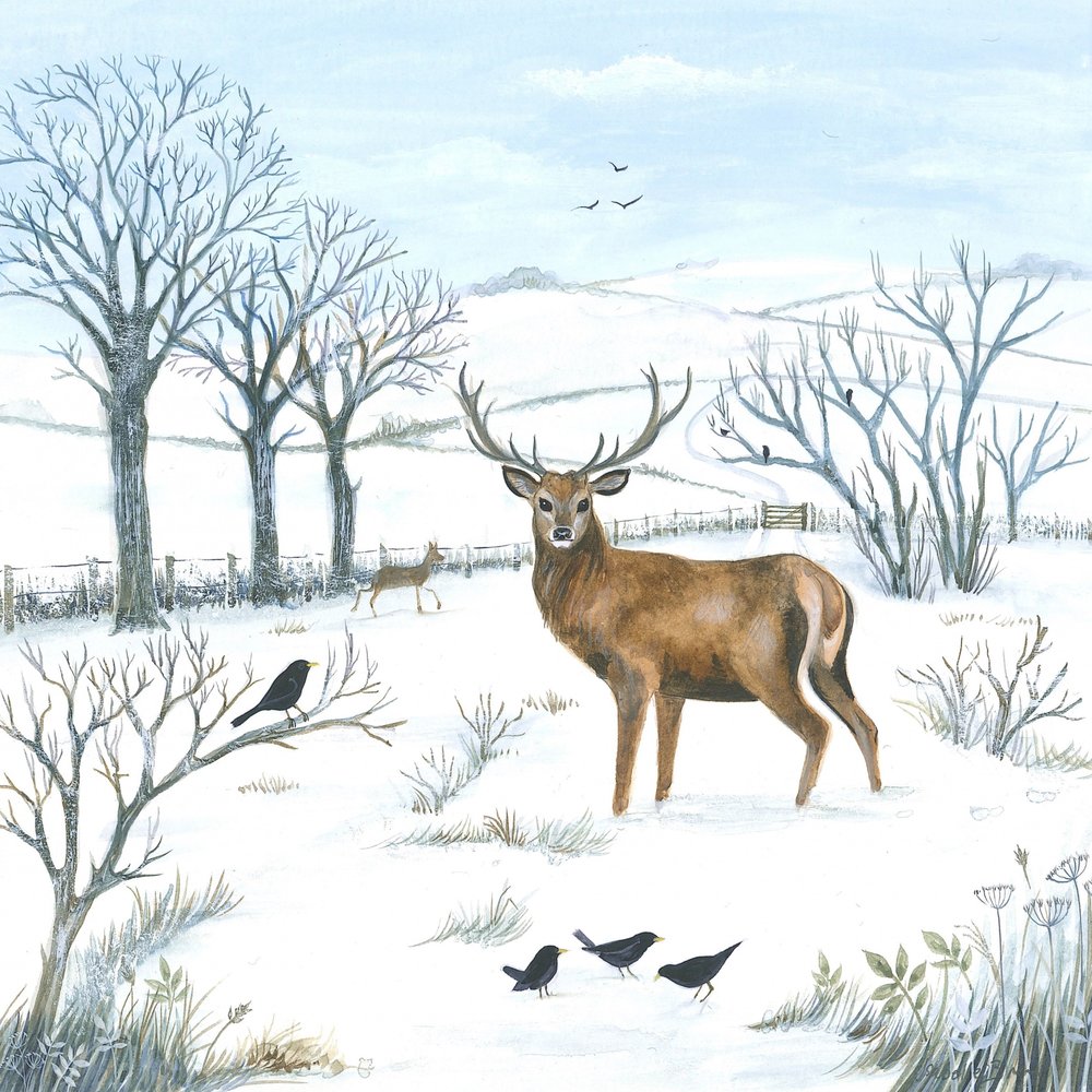 Hirsch im Winter von Isabelle Brent