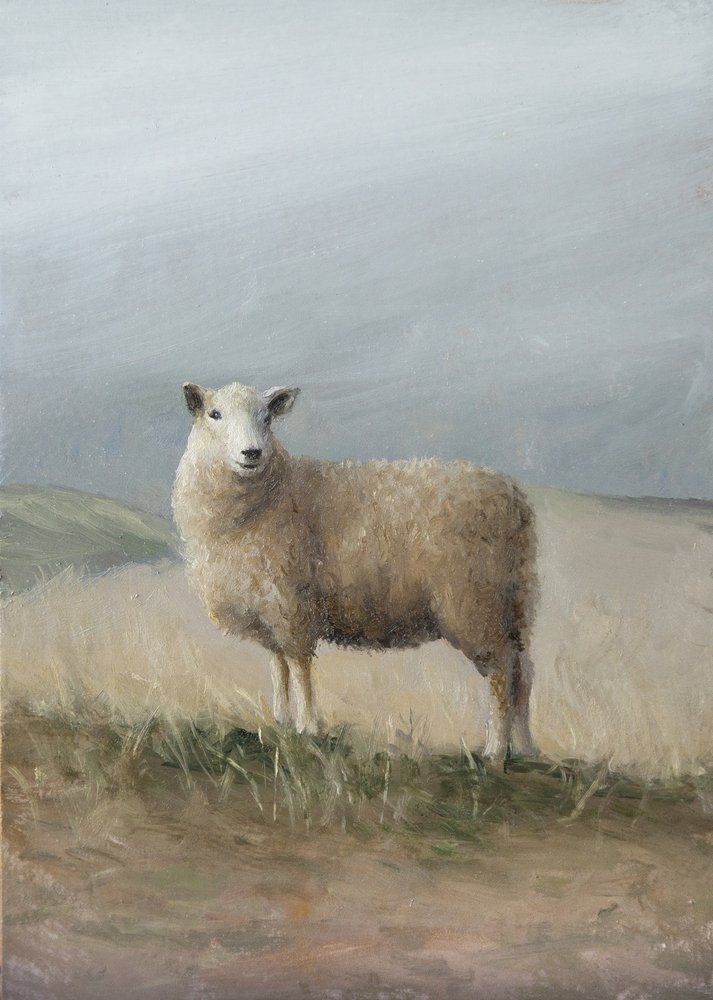 Pastorale Schafe von James Zamora