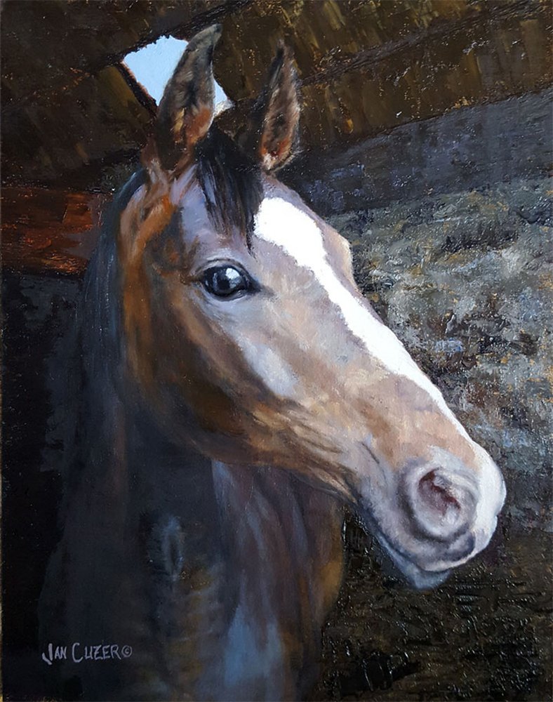 Pferd im Stalllicht von Jan Clizer