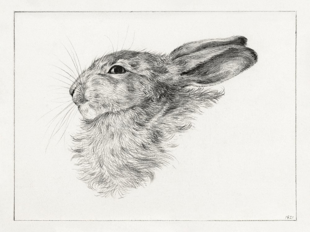 Hasenkopf von Jean Bernard