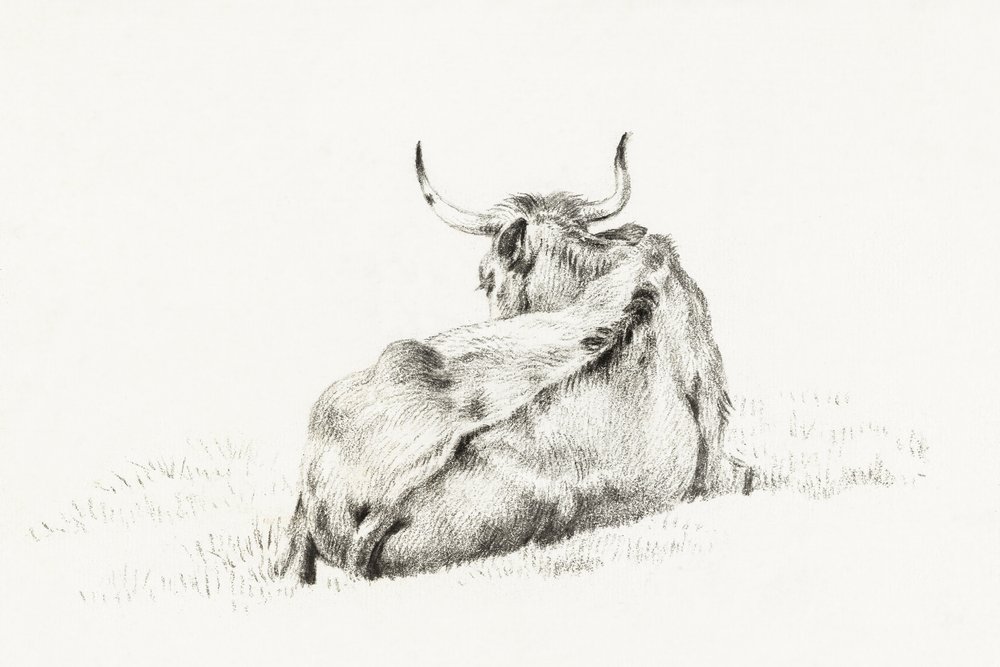 Liegende Kuh von Jean Bernard