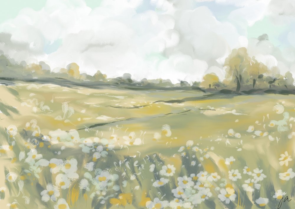 Serene Gänseblümchenwiese von Jenna Alheit