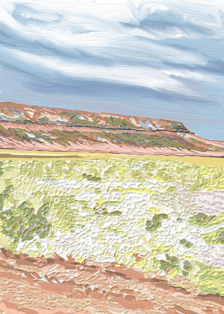 Weitläufige Wüsten-Mesa von Jenna Alheit