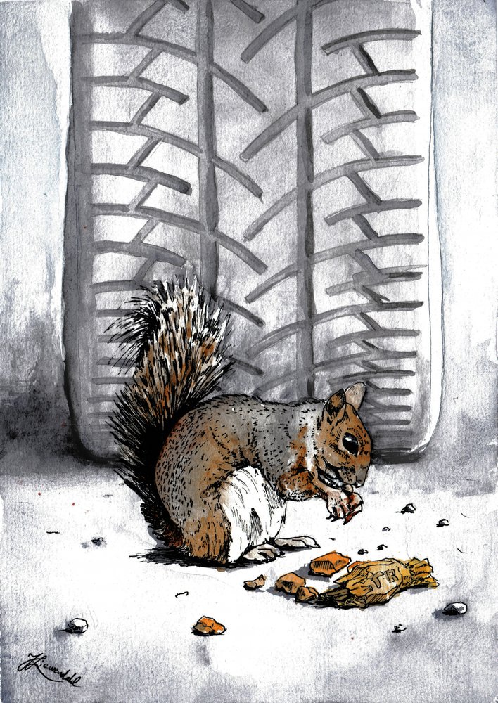 Eichhörnchen bei Reifenspur von Johan Liewendahl
