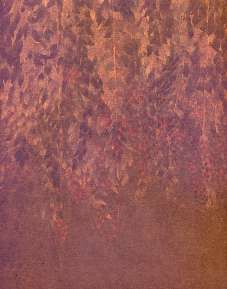 Kaskadierende Wisteria-Blüten von Josie George