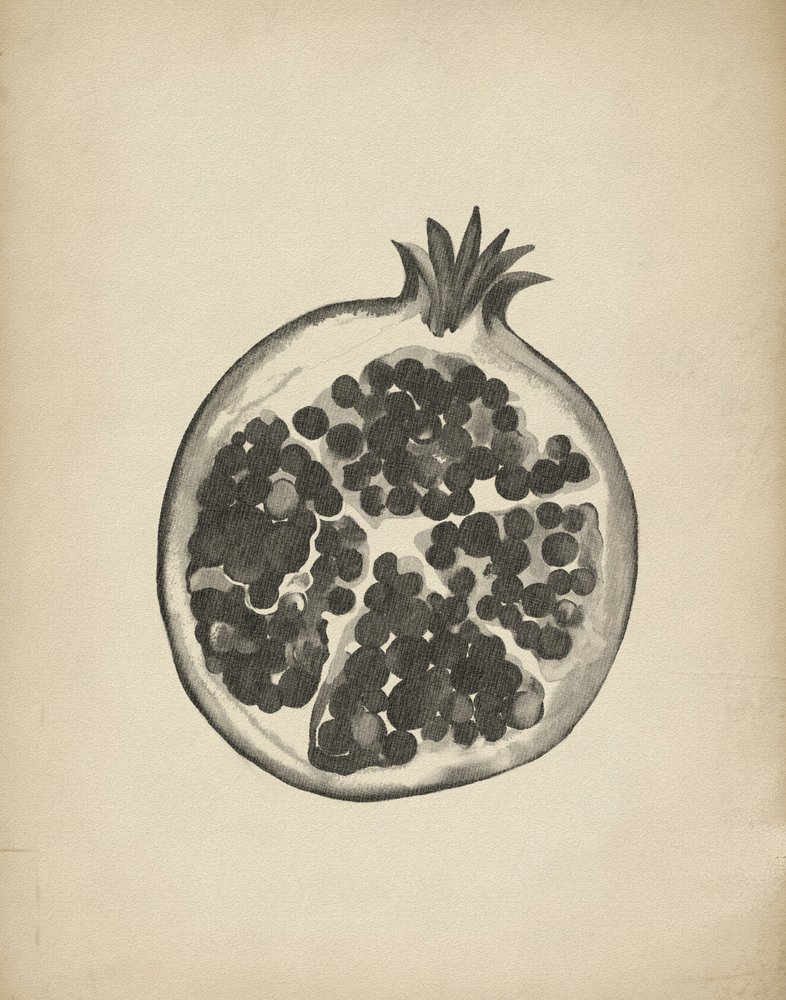 Geschnittener Granatapfel von Josie George