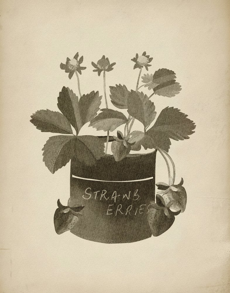 Vintage Erdbeerillustration von Josie George