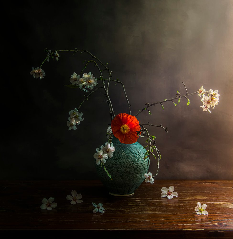 Stimmungsvolle Mohnblüten von Judy Tseng