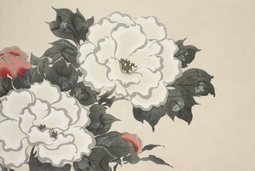 Blumen aus Momoyogusa von Kamisaka Sekka