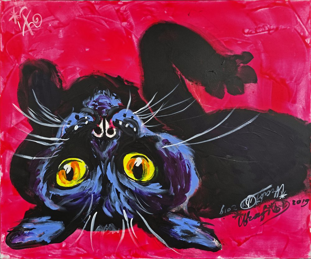 Neugierige schwarze Katze von Kanat Ibragimov