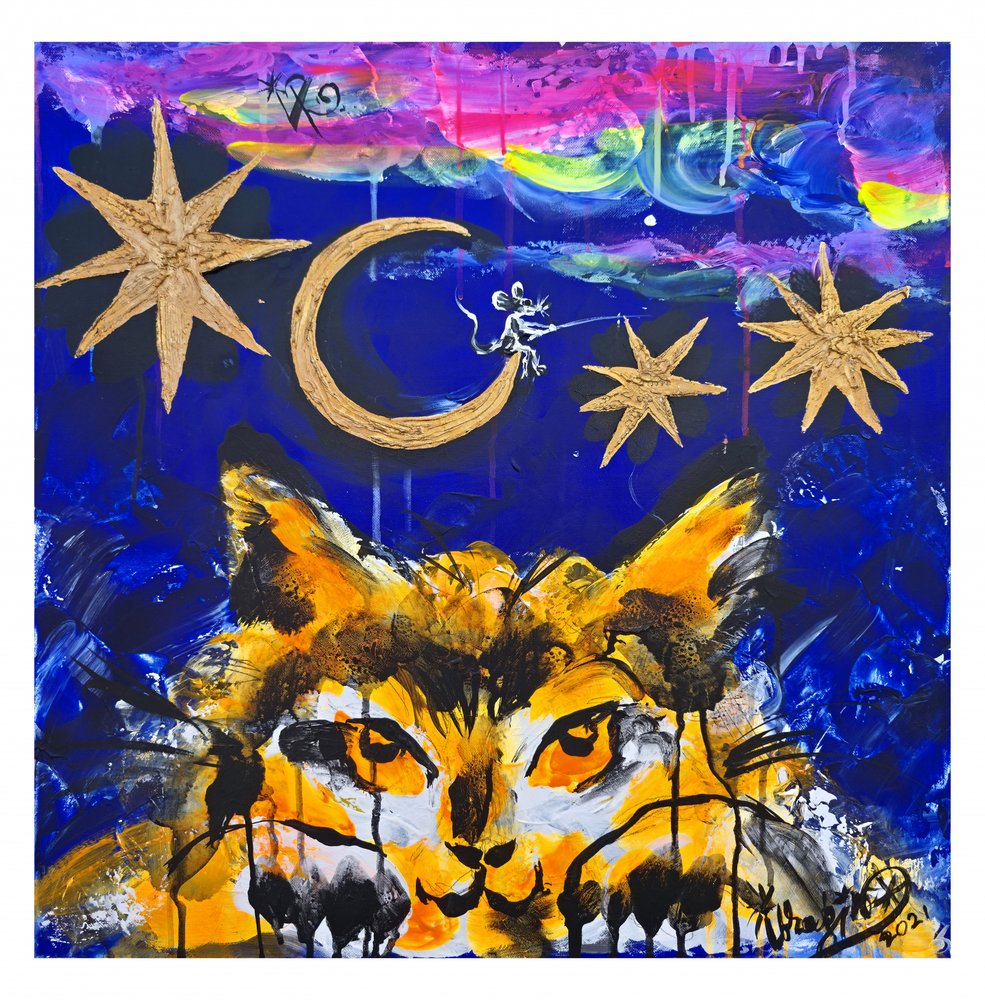 Feline Kosmische Nacht von Kanat Ibragimov