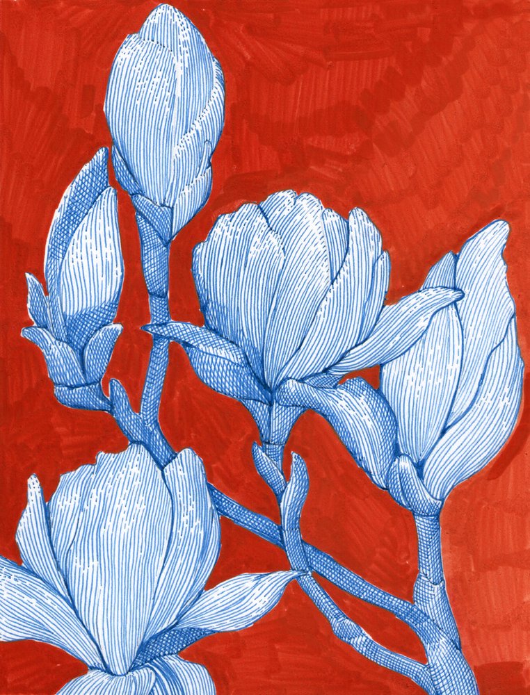 Ausdrucksstarke blaue Magnolien von Katie O'Shea