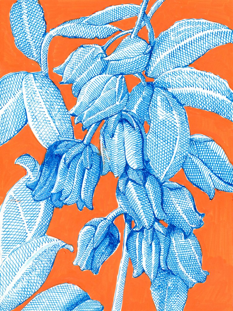 Leuchtend blaue Pflanzenmotive von Katie O'Shea